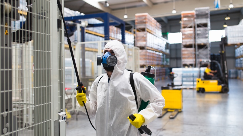 Extermination des blattes